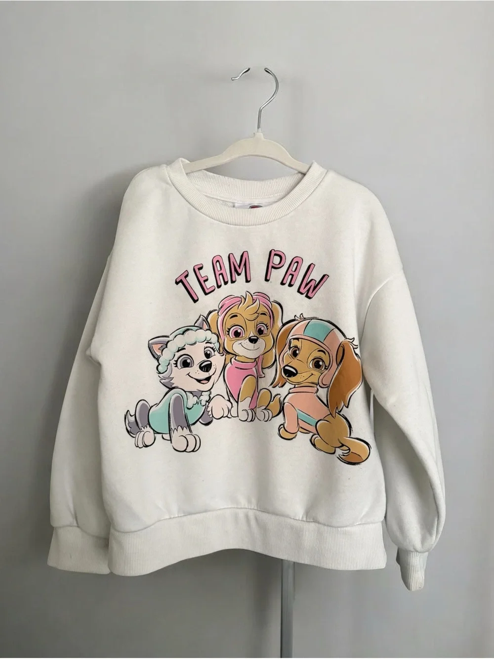 Paw Patrol Sweatshirt
